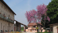 cascina 4 brera